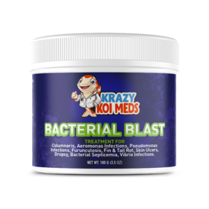 Bacterial Blast