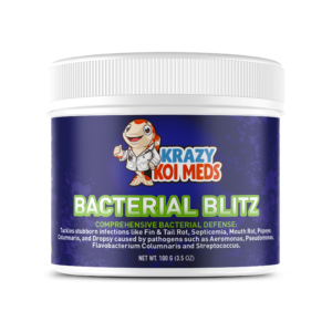 Bacterial Blitz